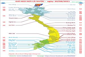 cám cho heo, thức ăn cho vịt, thức ăn cho gà, rico feed